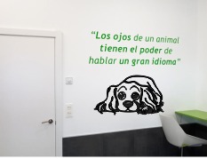 Cachorro Beagle